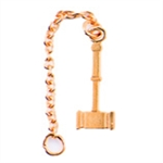 Gold-President's Gavel Guard