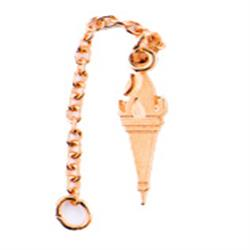 Gold-Vice Pres Torch Guard