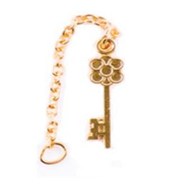 Gold-Treasurer's Key Guard
