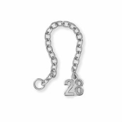 Silver-2028 Year Guard